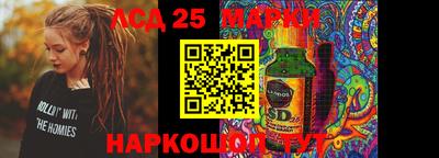 индика Обь