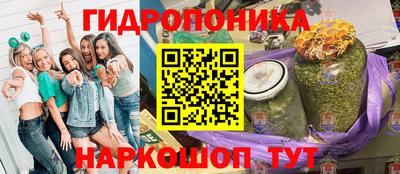 индика Обь