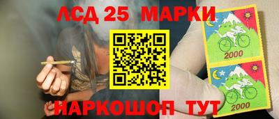 индика Обь