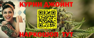 индика Обь